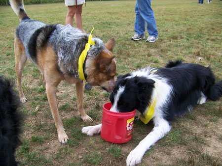 I don't know what's in here, Wyatt, but it's all mine!